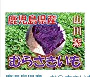 紫イモ