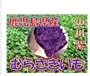 山川紫イモ
